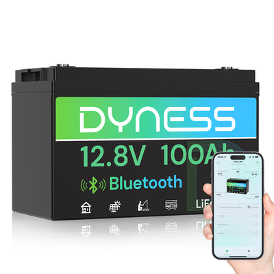 Dyness 12V 100Ah Lithium Battery with Bluetooth