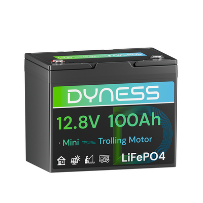 Dyness 12V 100Ah LiFePO4 Battery