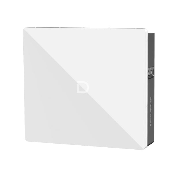 Dyness Powerbox G2 — 51.2V 200Ah LiFePO₄ Wall-Mounted Energy Storage System