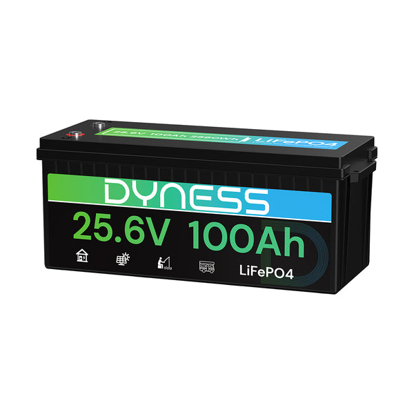 Dyness 24V 100Ah LiFePO4 Battery