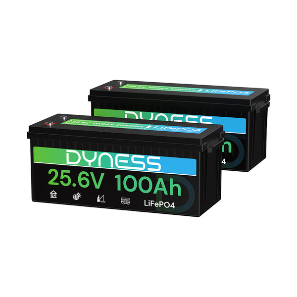 Dyness 24V 100Ah LiFePO4 Battery