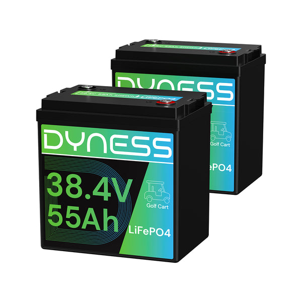 Dynesspower 36V 55Ah Smart Deep Cycle Lithium Battery