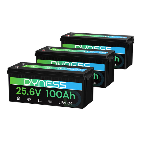 Dyness 24V 100Ah LiFePO4 Battery
