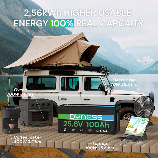Dyness 24V 100Ah LiFePO4 Battery
