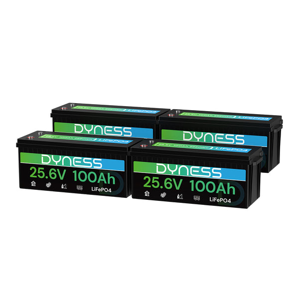 Dyness 24V 100Ah LiFePO4 Battery