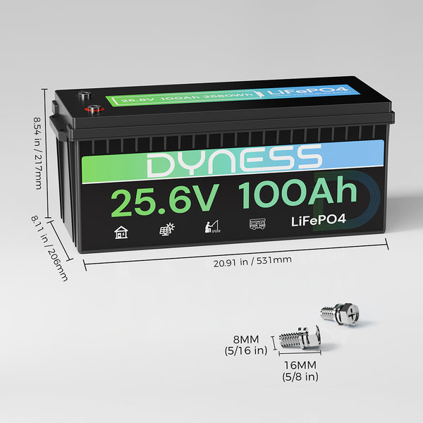 Dyness 24V 100Ah LiFePO4 Battery