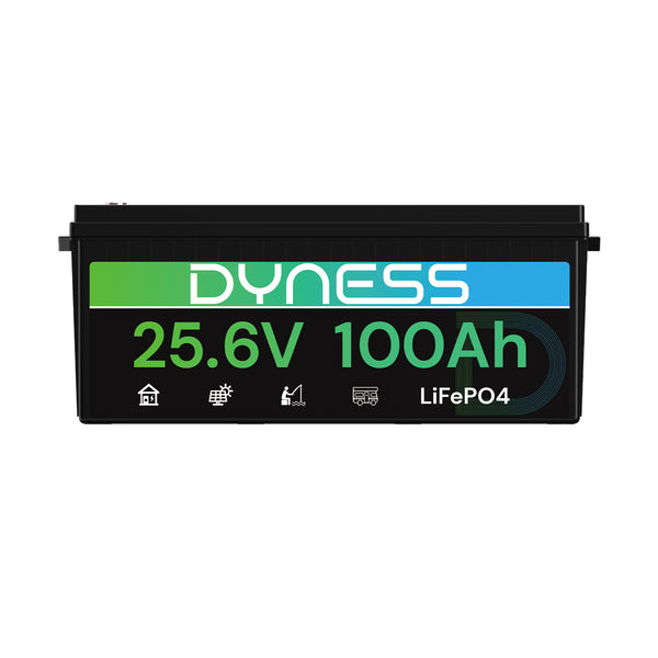 Dyness 24V 100Ah LiFePO4 Battery