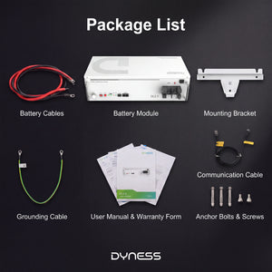 Dynesspower DL2.5 24V 100Ah LiFePO4 Battery for RV & Off-Grid Solar