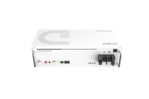 Dynesspower DL2.5 24V 100Ah LiFePO4 Battery for RV & Off-Grid Solar
