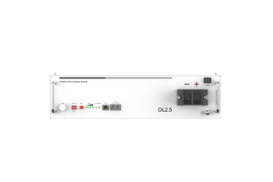 Dynesspower DL2.5 24V 100Ah LiFePO4 Battery for RV & Off-Grid Solar