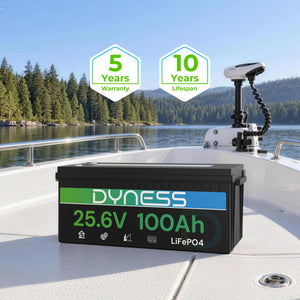 Dynesspower 24V 100Ah LiFePO4 Battery