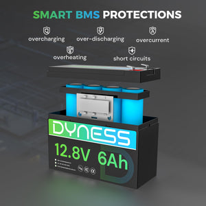 Dynesspower 12V 6Ah Mini LiFePO4 Battery