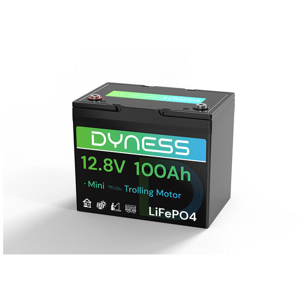 Dyness 12V 100Ah LiFePO4 Battery