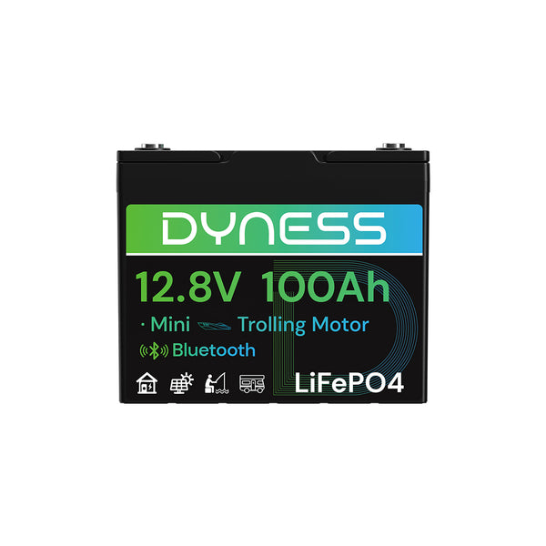 Dyness 12V 100Ah Group 24 Bluetooth-Enabled LiFePO4 Deep Cycle Battery