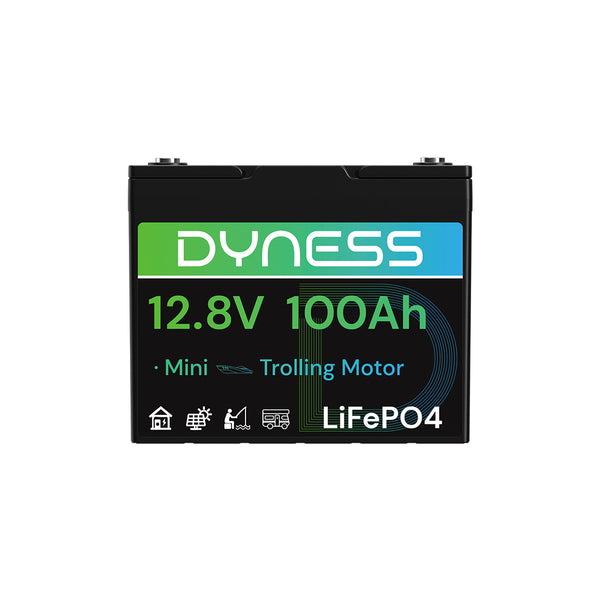Dyness 12V 100Ah Group 24 LiFePO4 Lithium Deep Cycle Battery