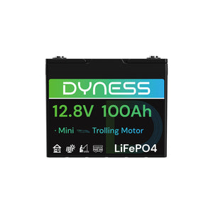 Dyness 12V 100Ah Group 24 LiFePO4 Lithium Deep Cycle Battery