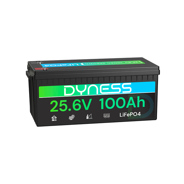 Dyness 24V 100Ah LiFePO4 Battery