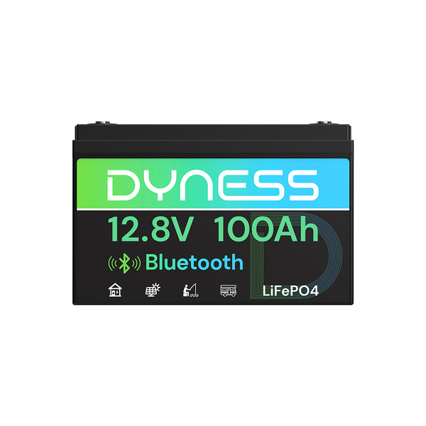 Dyness 12V 100Ah Lithium Battery with Bluetooth