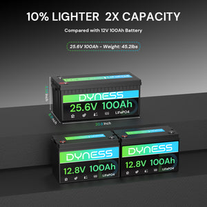 Dynesspower 24V 100Ah LiFePO4 Battery