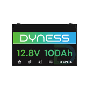 Dyness AR1.2 12V 100Ah LiFePO4 Battery