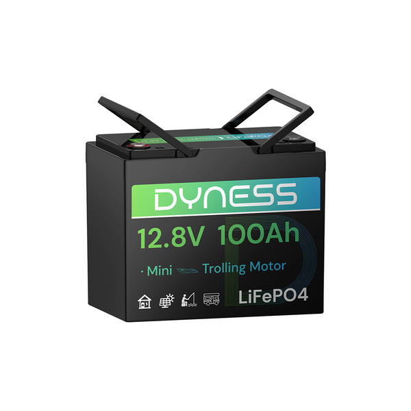 Dyness 12V 100Ah Group 24 LiFePO4 Lithium Deep Cycle Battery