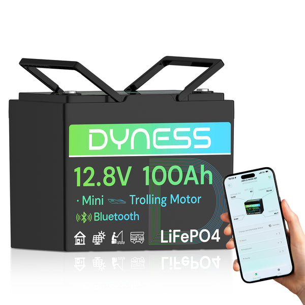 Dyness 12V 100Ah Group 24 Bluetooth-Enabled LiFePO4 Deep Cycle Battery