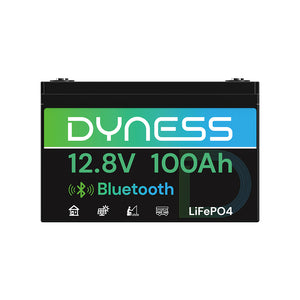 Dyness 12V 100Ah Lithium Battery with Bluetooth