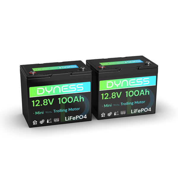 Dyness 12V 100Ah LiFePO4 Battery