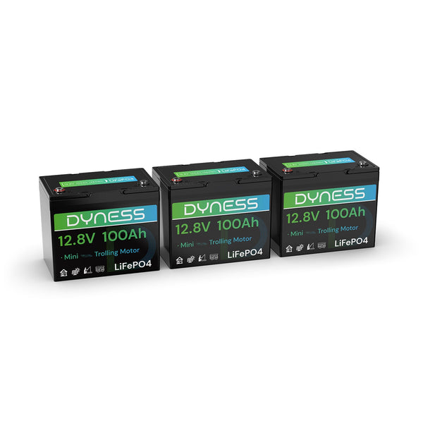 Dyness 12V 100Ah LiFePO4 Battery