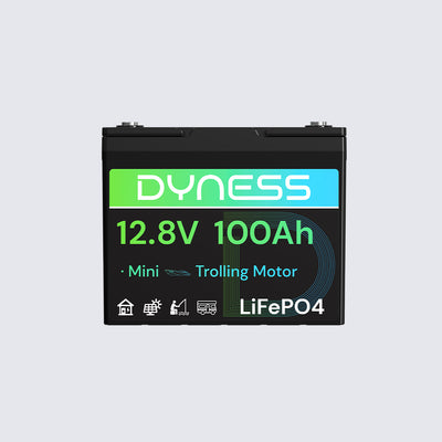 Dyness 12V 100Ah LiFePO4 Battery