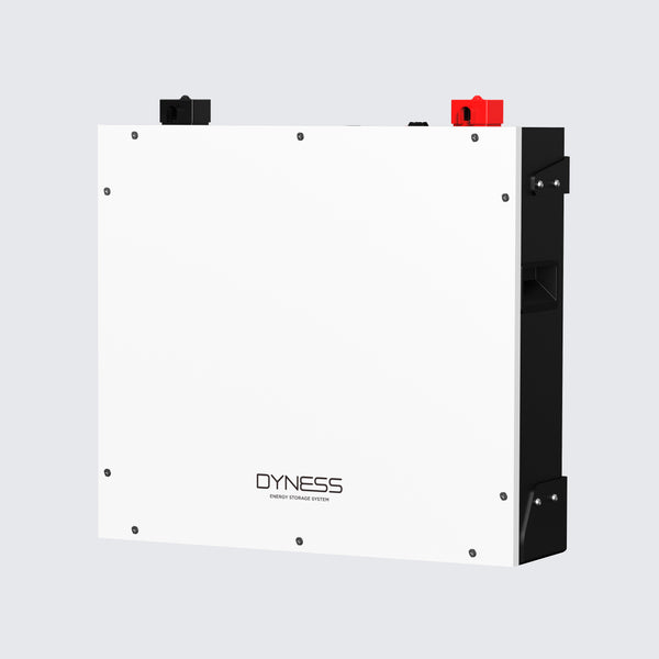 Dyness DL5.0C 5.12kWh LiFePO4 Home Energy Storage Battery（副本）