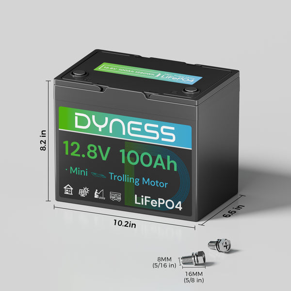 Dyness 12V 100Ah LiFePO4 Battery