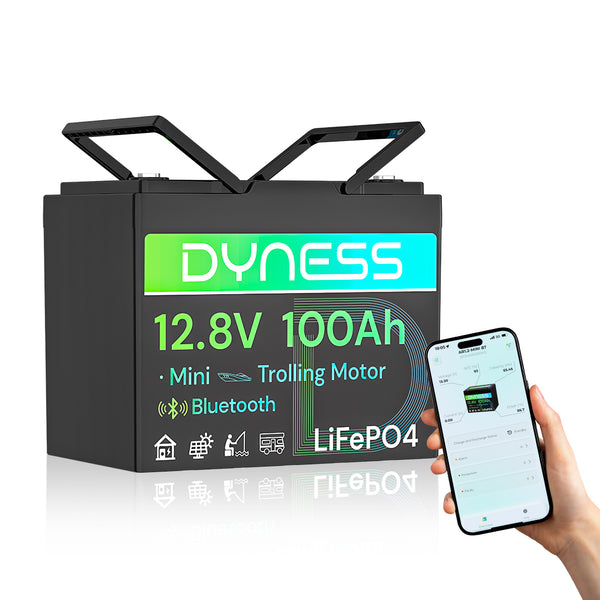 Dyness 12V 100Ah Group 24 Bluetooth-Enabled LiFePO4 Deep Cycle Battery