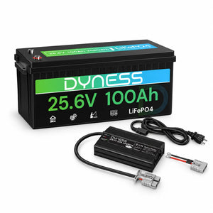 Dynesspower 24V 100Ah LiFePO4 Battery