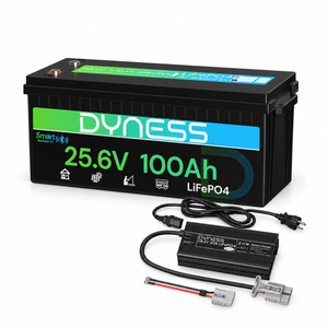 Dynesspower 24V 100Ah LiFePO4 Battery with Bluetooth