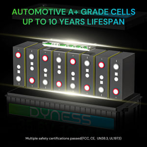 Dynesspower 24V 100Ah LiFePO4 Battery