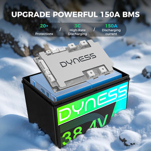 Dynesspower 36V 55Ah Smart Deep Cycle Lithium Battery