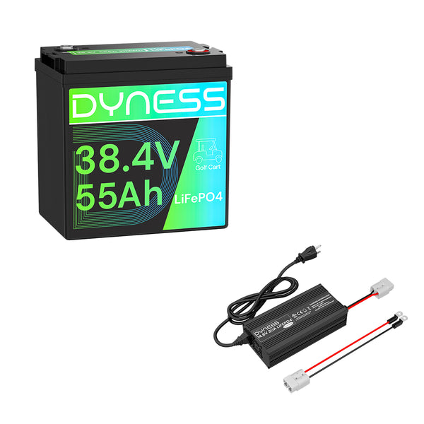 Dyness 36V 55Ah Smart Deep Cycle Lithium Battery