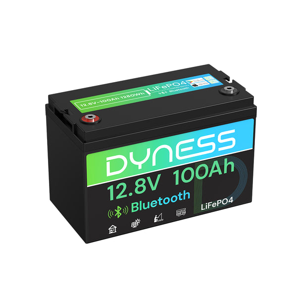 Dyness 12V 100Ah Lithium Battery with Bluetooth