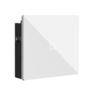 Dyness Powerbox G2 — 51.2V 200Ah LiFePO₄ Wall-Mounted Energy Storage System