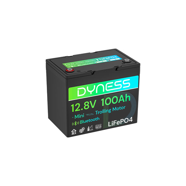 Dyness 12V 100Ah Group 24 Bluetooth-Enabled LiFePO4 Deep Cycle Battery