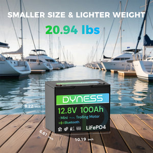 Dynesspower 12V 100Ah Group 24 Bluetooth-Enabled LiFePO4 Deep Cycle Battery