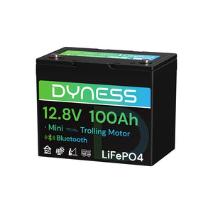 Dynesspower 12V 100Ah Group 24 Bluetooth-Enabled LiFePO4 Deep Cycle Battery