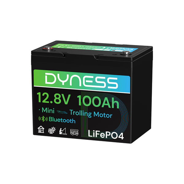 Dyness 12V 100Ah Group 24 Bluetooth-Enabled LiFePO4 Deep Cycle Battery