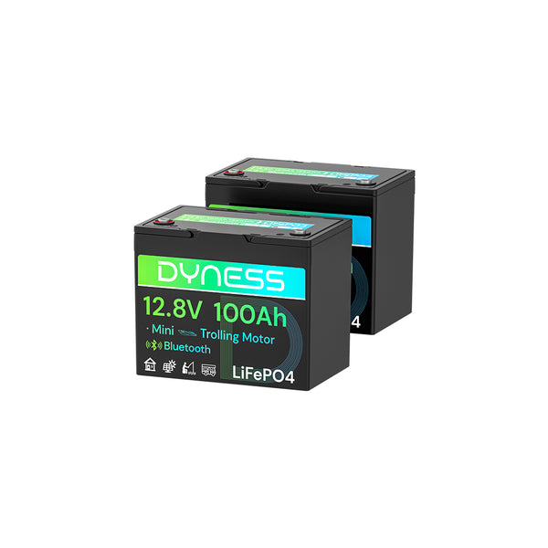 Dyness 12V 100Ah Group 24 Bluetooth-Enabled LiFePO4 Deep Cycle Battery