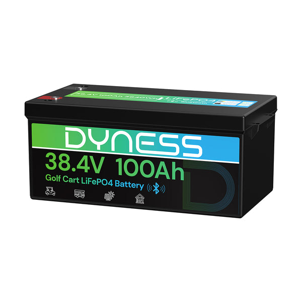 Dyness 36V 100Ah Lithium Golf Cart Battery – Featuring 200A BMS & Real-Time Monitoring