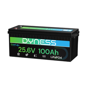 Dynesspower 24V 100Ah LiFePO4 Battery with Bluetooth