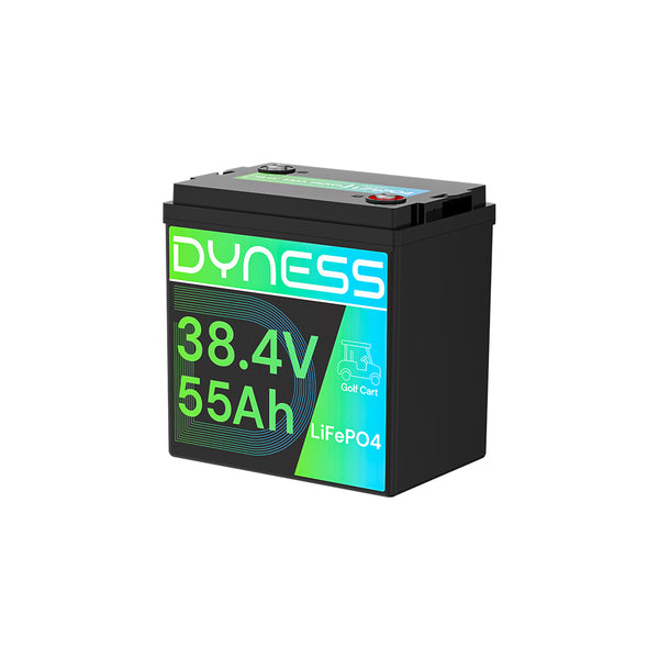 Dyness 36V 55Ah Smart Deep Cycle Lithium Battery
