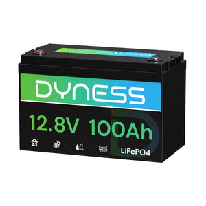 Dynesspower AR1.2 12V 100Ah LiFePO4 Battery