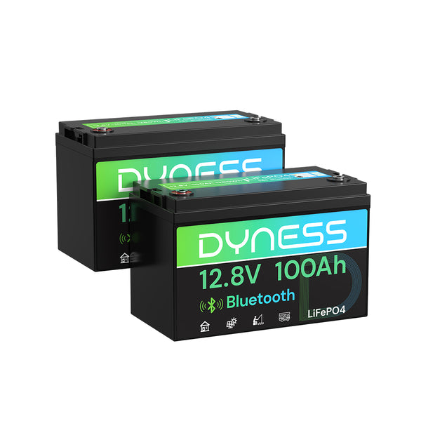 Dyness 12V 100Ah Lithium Battery with Bluetooth